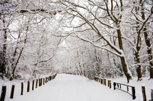 Winter snow, Kent, England, UK